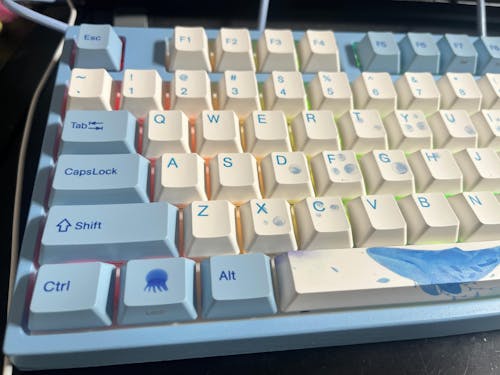 Sea Melody 108/109