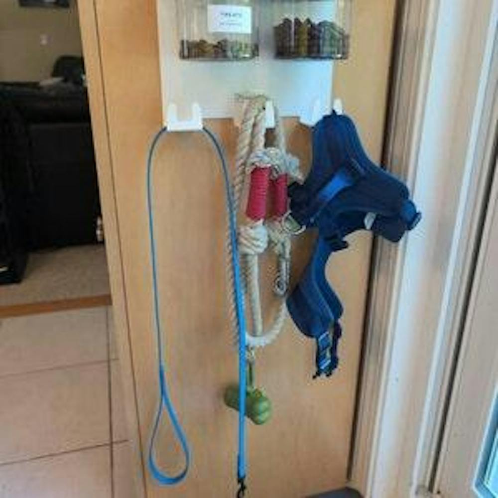 Dog Leash Holder for Wall with 9" Dog Shelf, Deep Dog Hooks and 2 Small Airtight Dog Treat Containers, Dog Stuff Organizer and Storage
