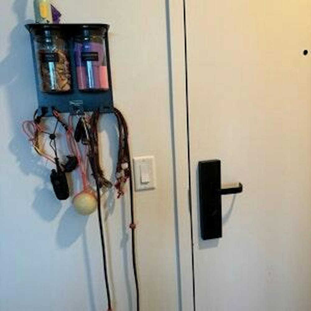 Dog Leash Holder for Wall, Dog Storage with 9" Shelf, Deep Hooks and 2 Large Airtight Dog Treat Containers