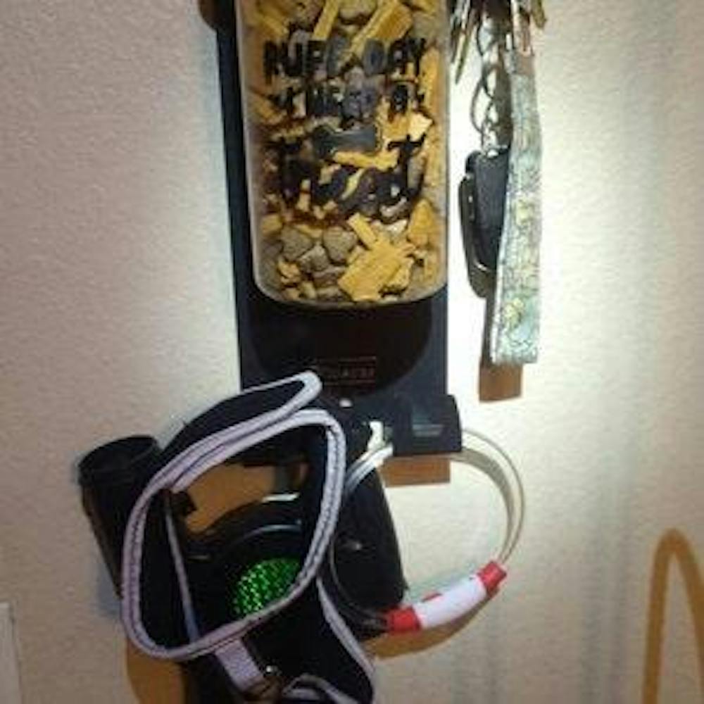 Dog Leash Holder for Wall, Dog Storage Organizer with 4.75” Dog Shelf and 1 Small Airtight Dog Treat Containers in Modern Black