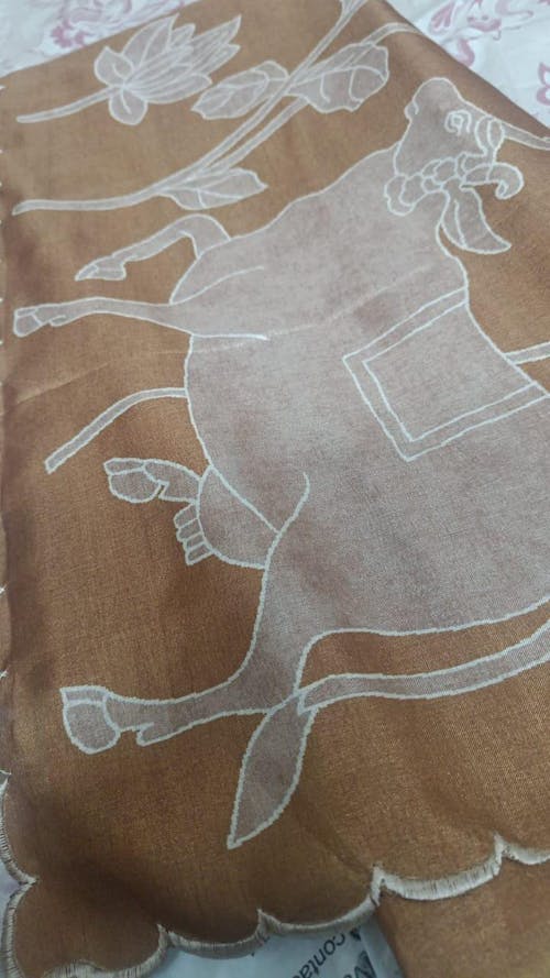 Opulent Tussar Cutwork Digital Saree