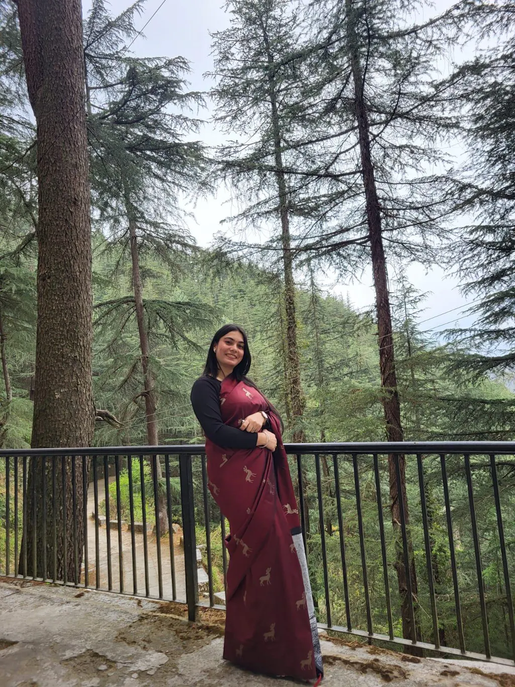 Maroon Soft Silk Saree With Postar Weaving Zari Pallu