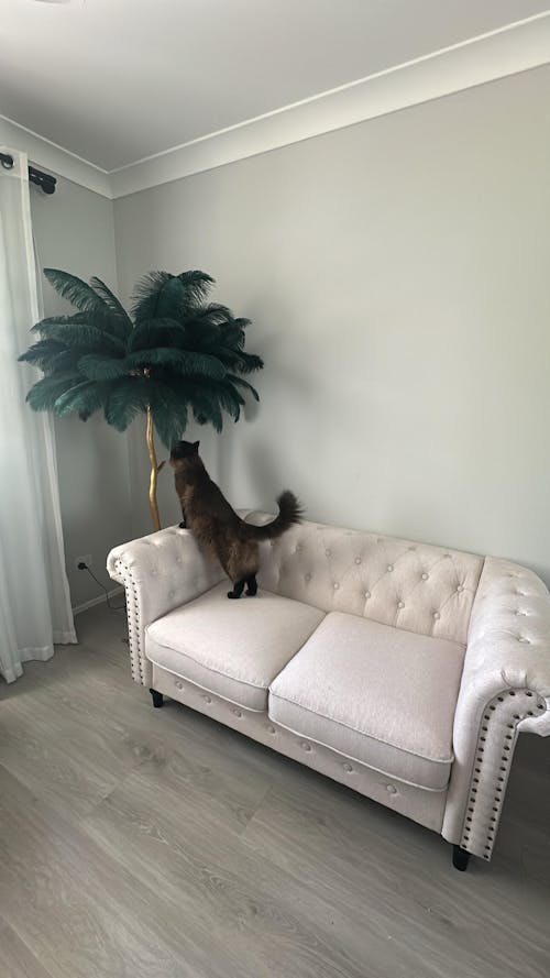 Ostrich Feather Floor Lamp Luxury, 16 Colors/Resin