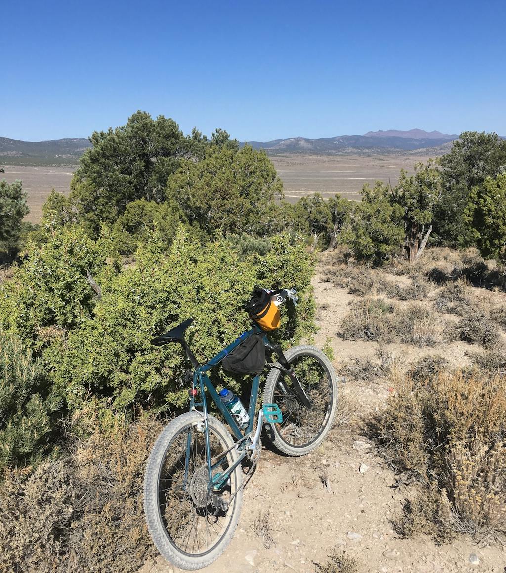 Granola Bar Velo Orange