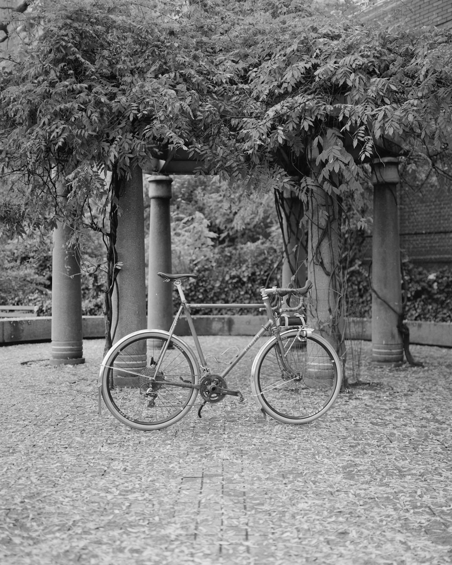 Velo Orange 650b Zeppelin Fenders, 52mm