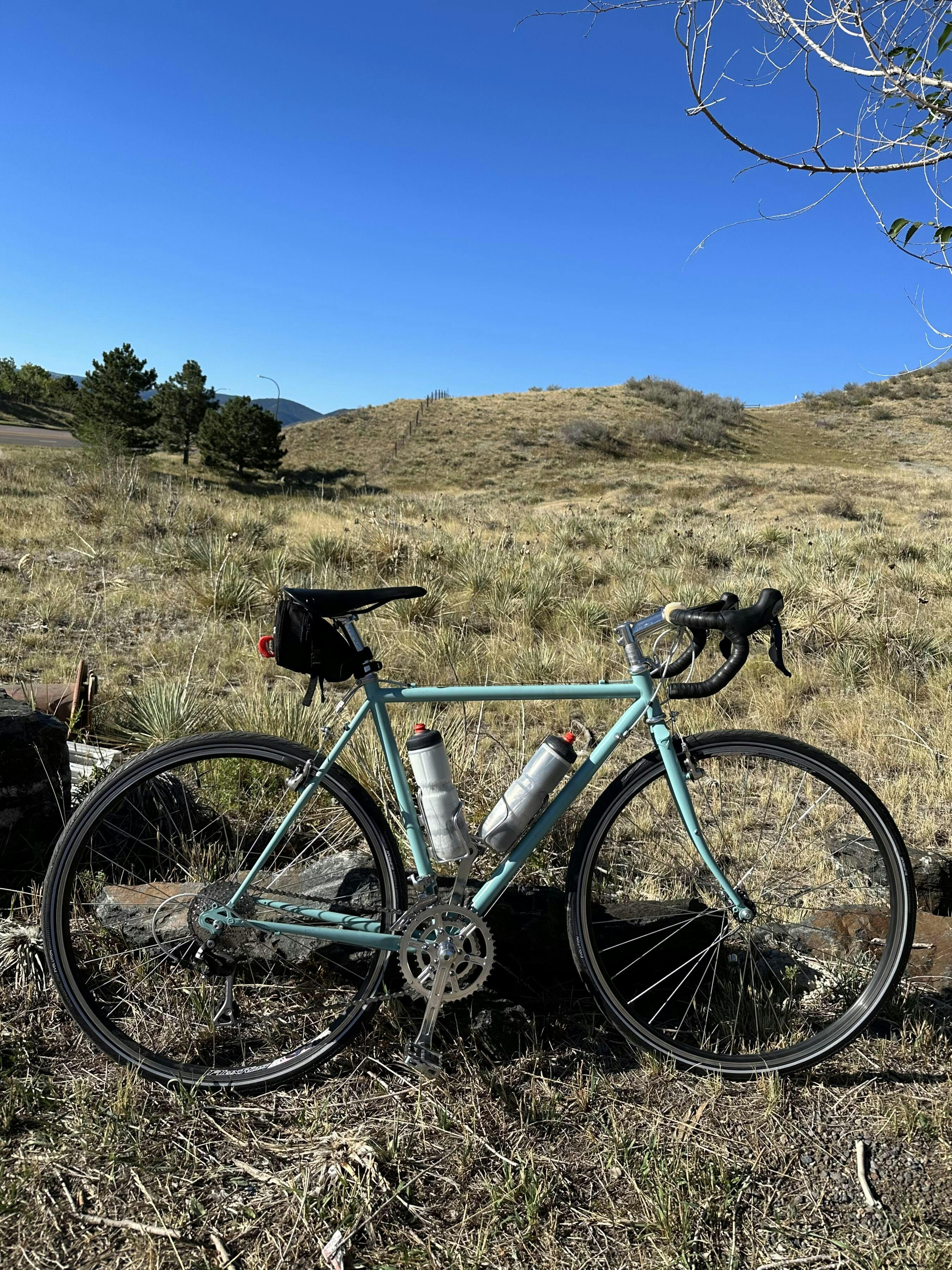 velo orange crankset