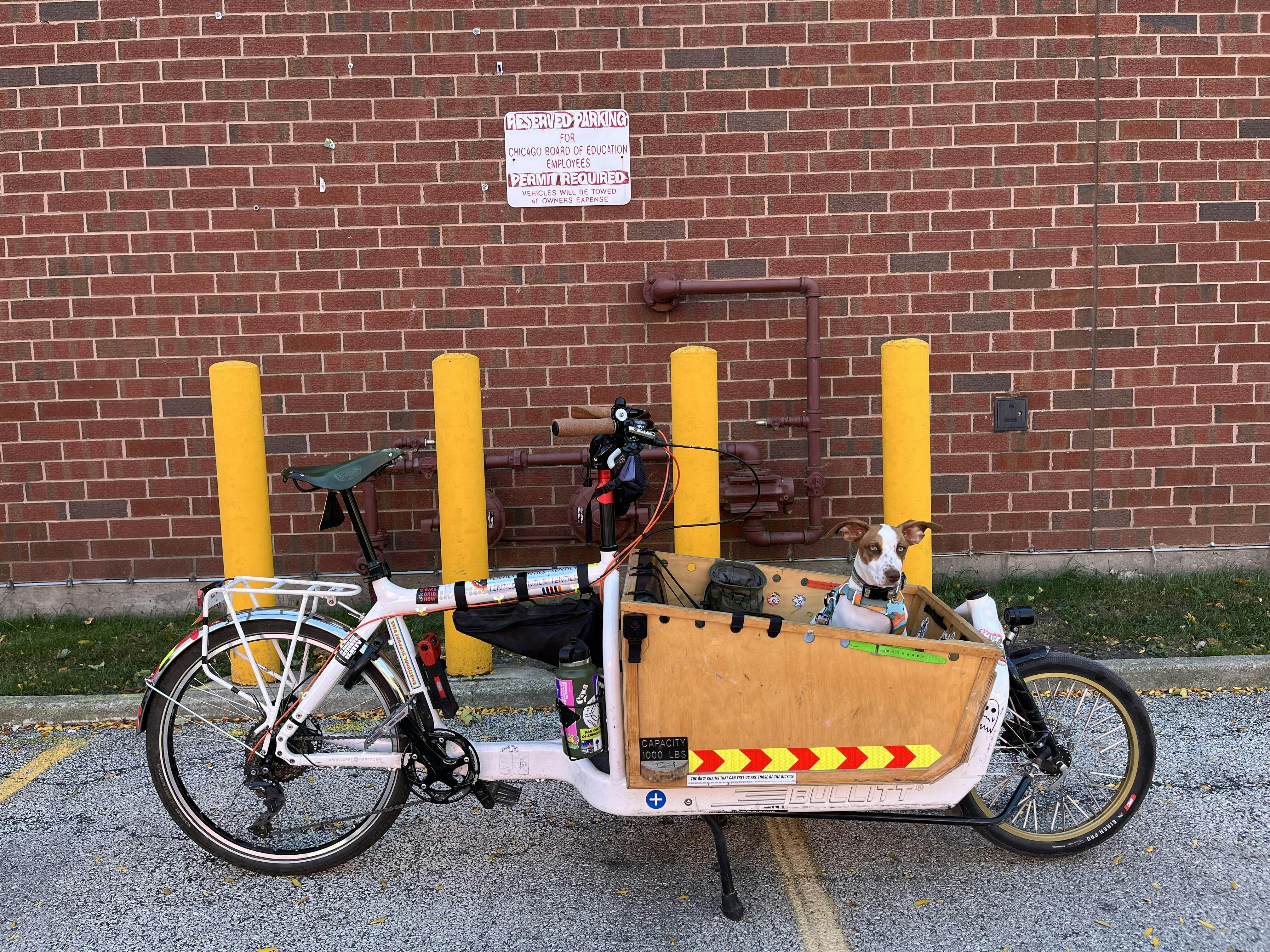 Velo Orange 20