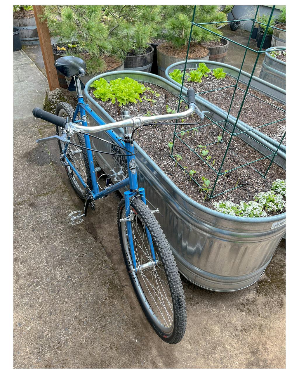 Velo Orange Granola Bar Velo Orange Curvy Bar