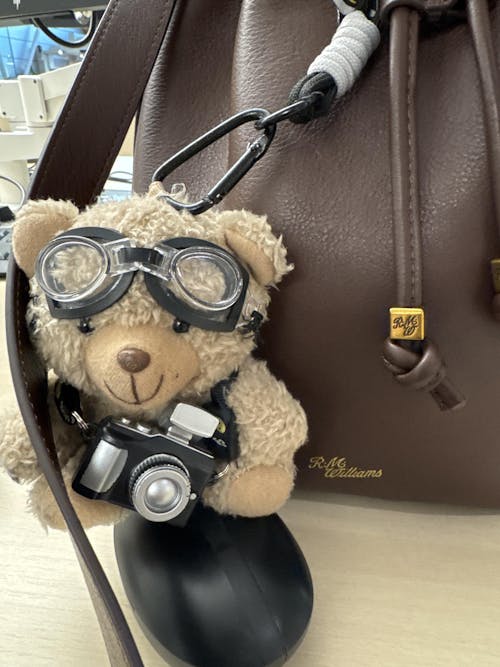 Camera Teddy Bear Bag Charm