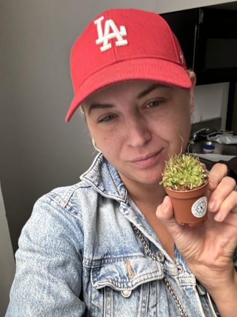 Green Venus Flytrap Carnivorous Plant