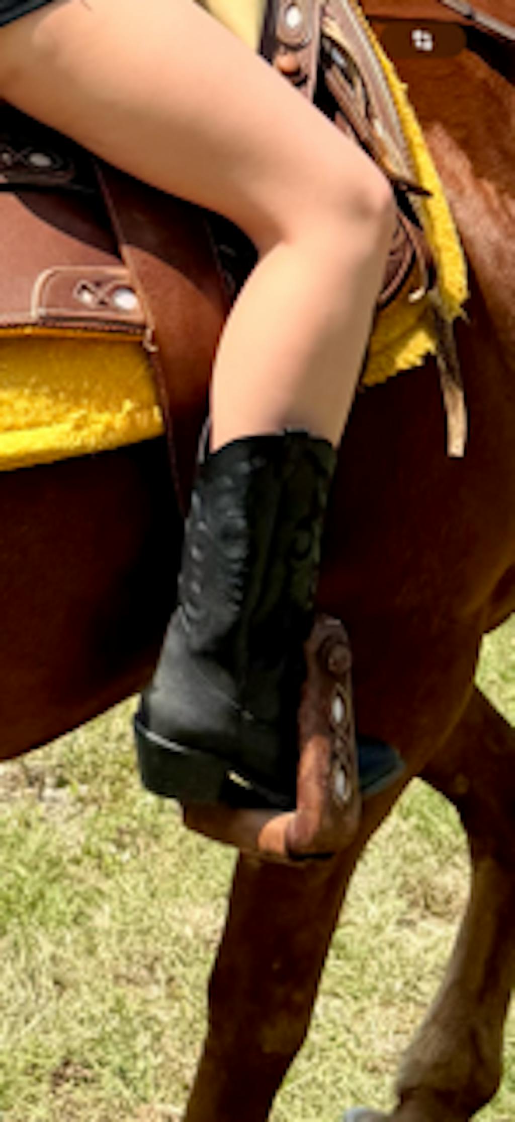 7989 BOTA ALTA BORDADA SABRINA