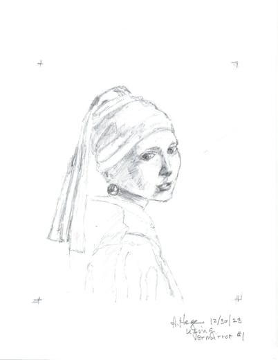 Vermirror Pro™ Comparator Mirror