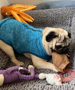 Kurgo Core Dog Sweater - Heather Blue