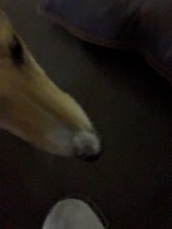 Filta-Bac Anti-Bacterial Sunscreen