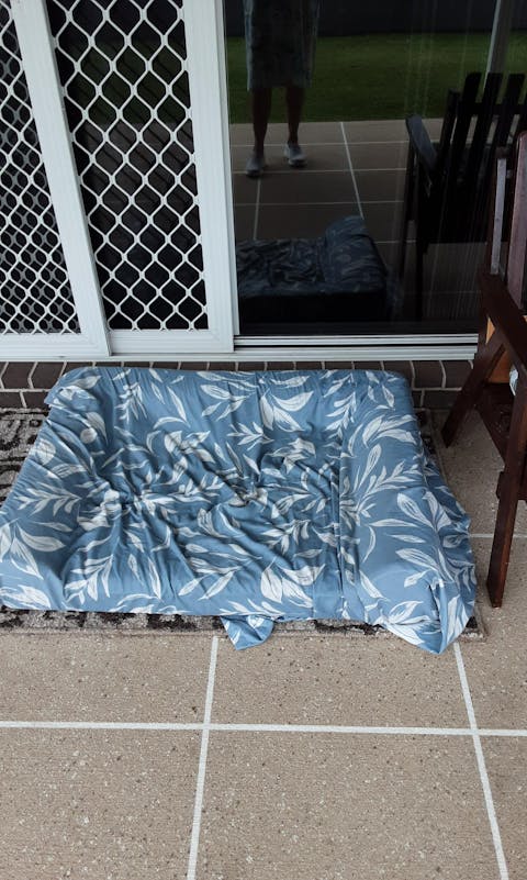 EzyDog Next Gen Ortho Lounger Dog Bed