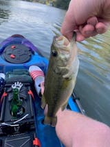 Image de l'utilisateur