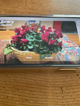 User picture