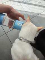Hunde Trinkflasche Mit Futterbehälter
