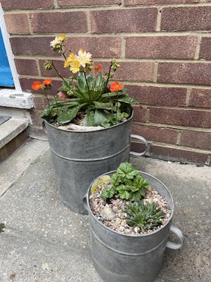 Galvanised Tub Planters with Handles - Set of 2