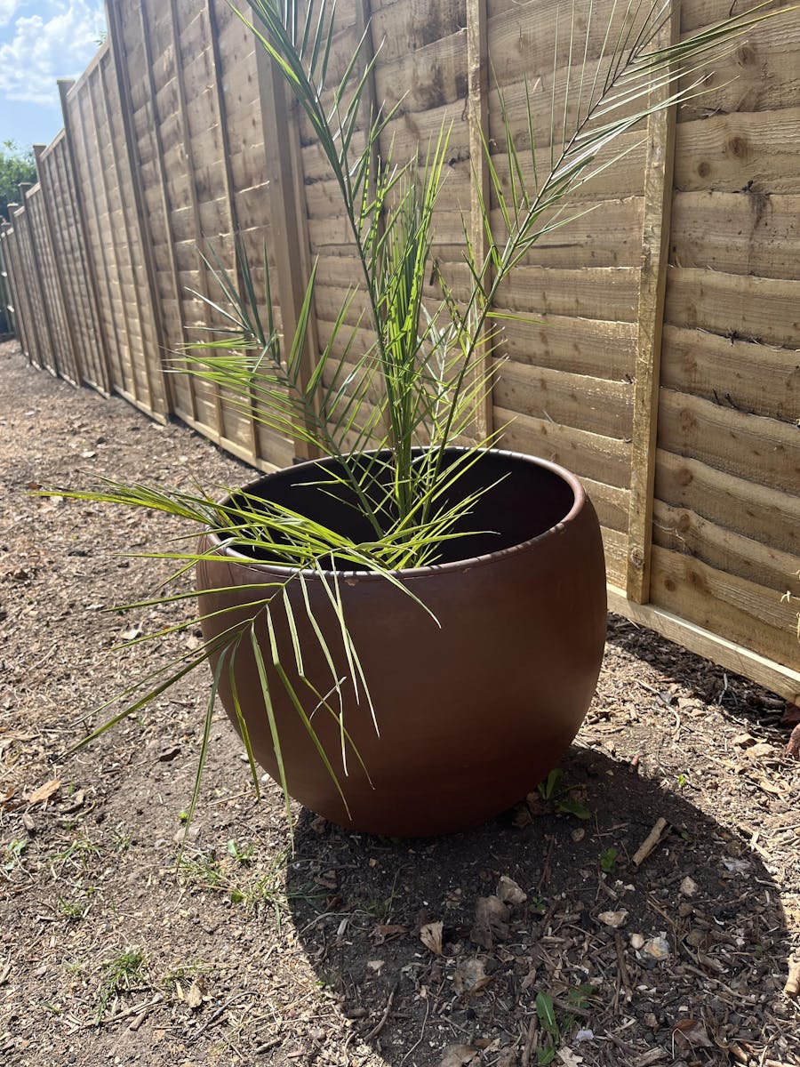Rusty Iron Globe Planter
