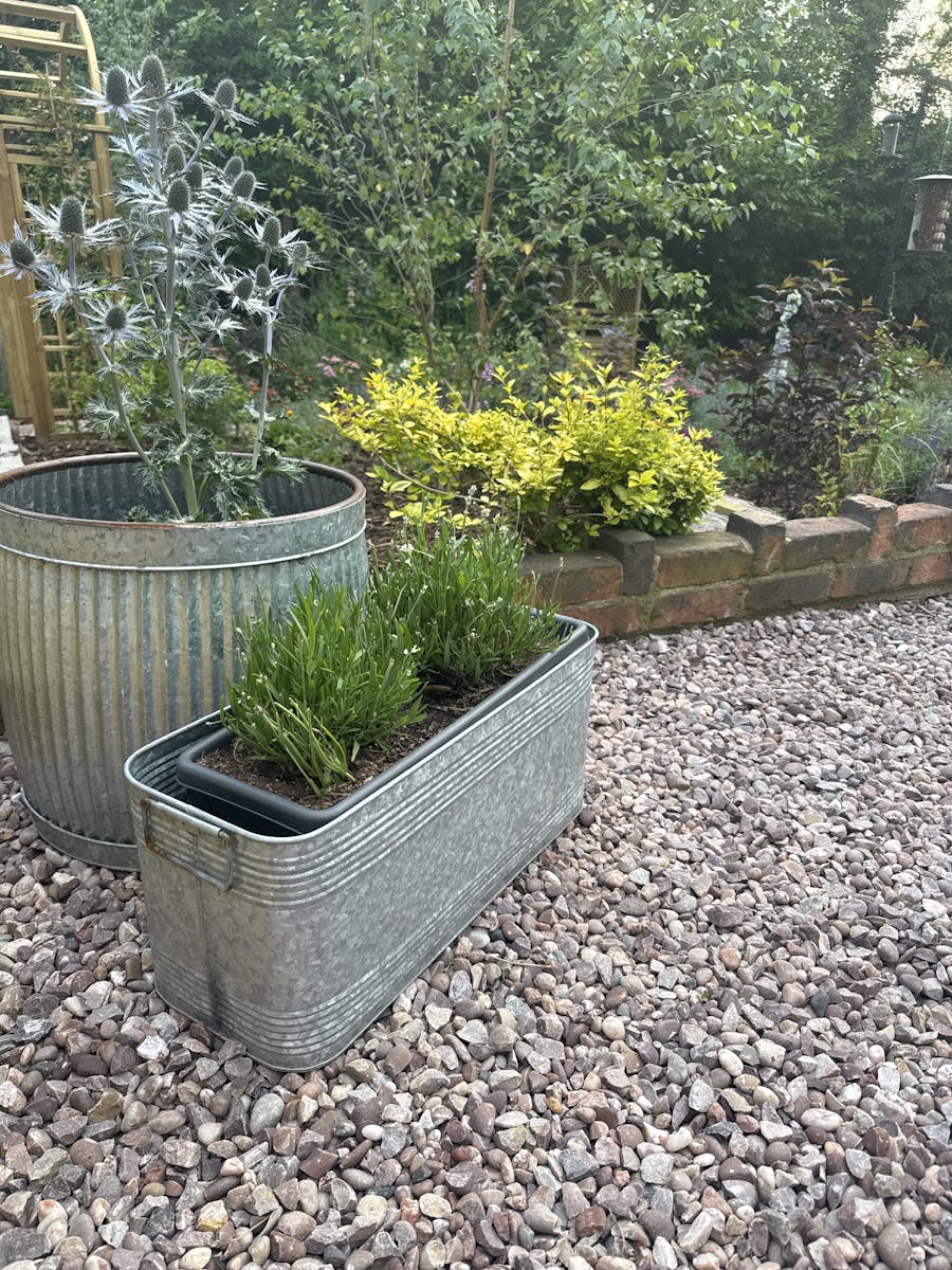 Galvanised Dolly Tub Planter