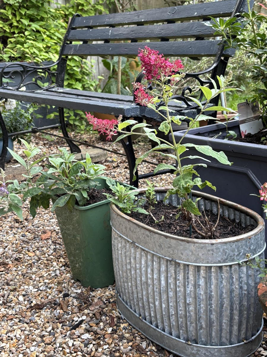 Galvanised Fluted Oval Planter