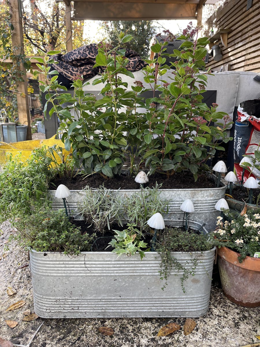 Galvanised Trough Planters with Handles - Set of 3