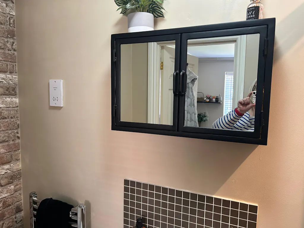 Industrial Mirrored Double Door Bathroom Cabinet - Matt Black