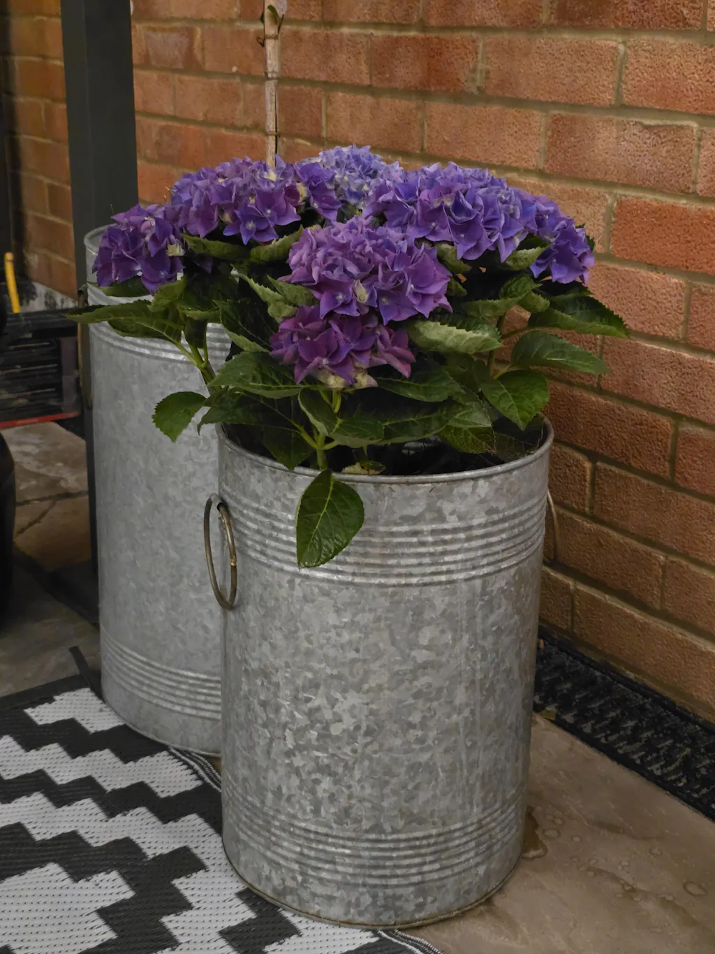 Galvanised Barrel Planters - Set of 3