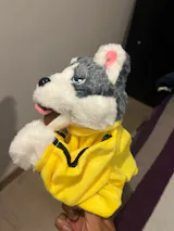 User picture