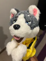 User picture