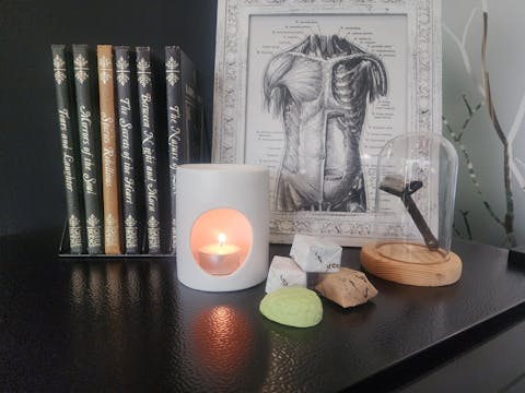 Classic Wax Truffle Discovery Box