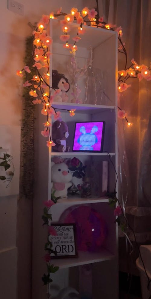 Biblioteca Home Eco, Blanco Duqueza, con Cinco Entrepaños