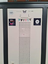 Praxisbegleiter Pflegewissen