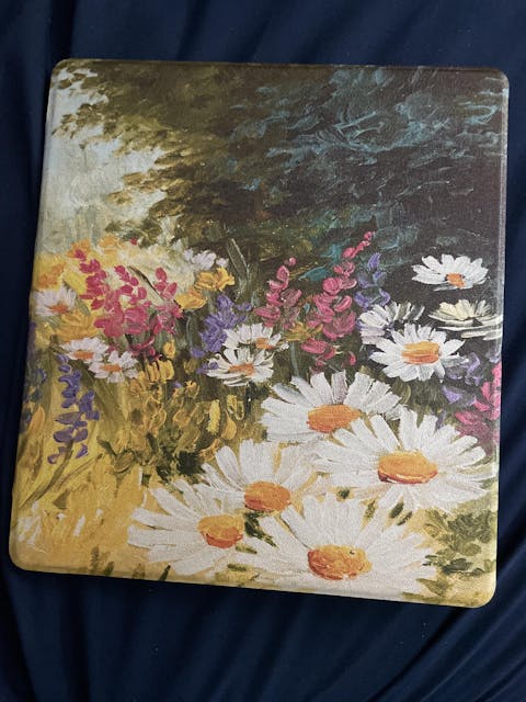 Kindle Case - Oil Painting