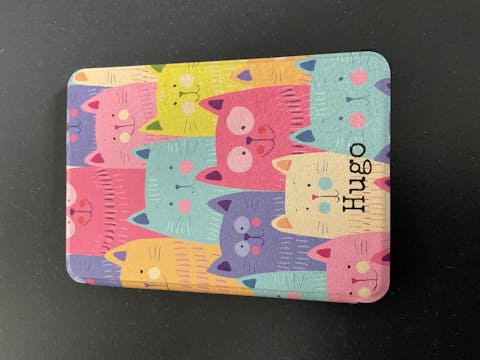 Kindle Case - Cat Kitty