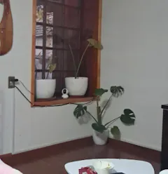 Review picture