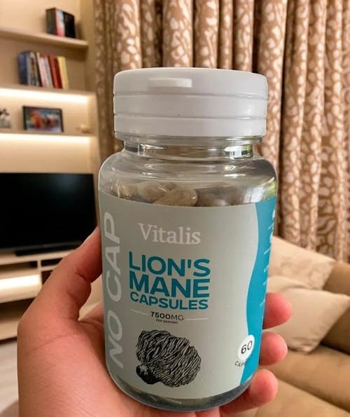 Lion's Mane Mushroom