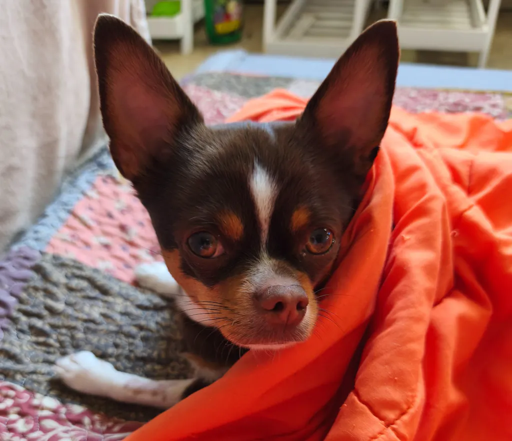 Post Operation csomag