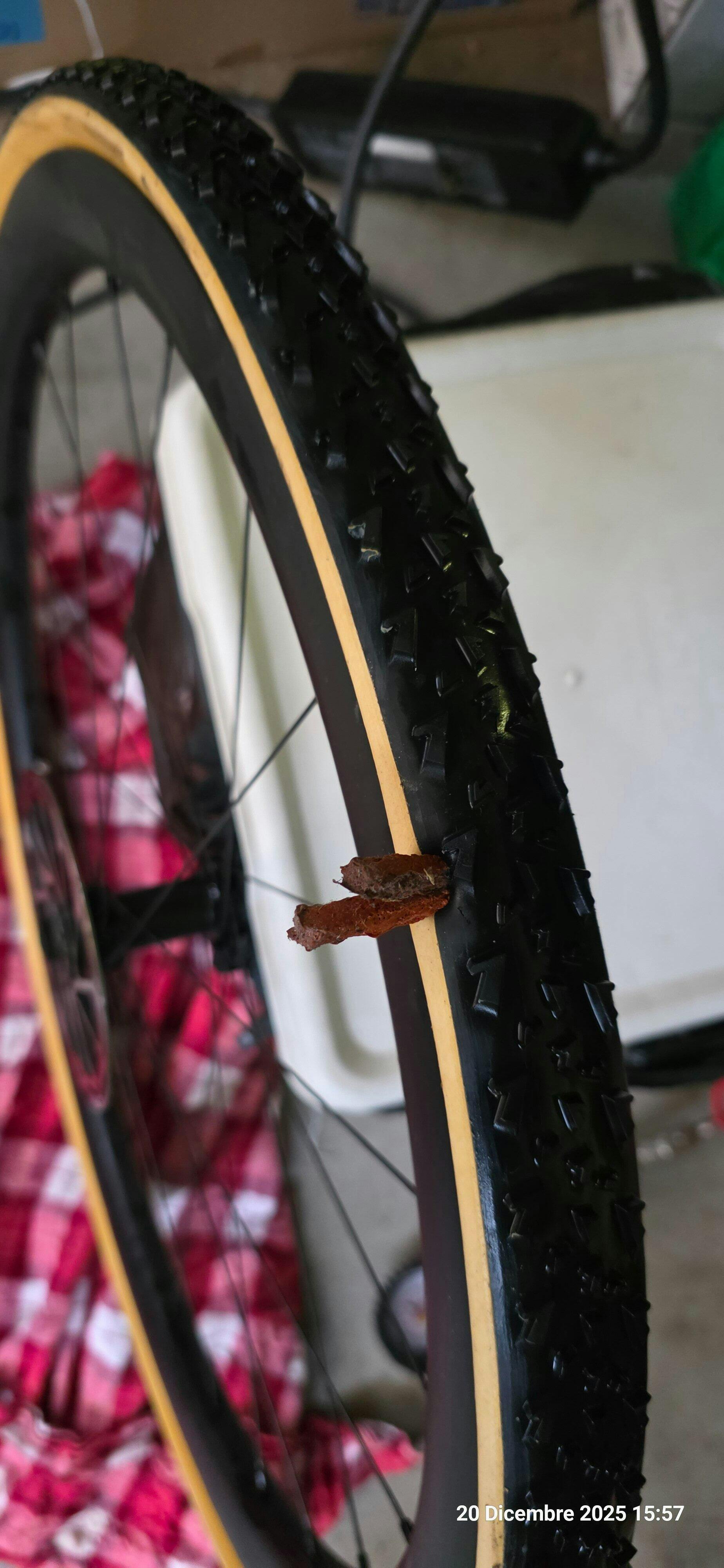 A Dugast Rhino Tubeless-Ready