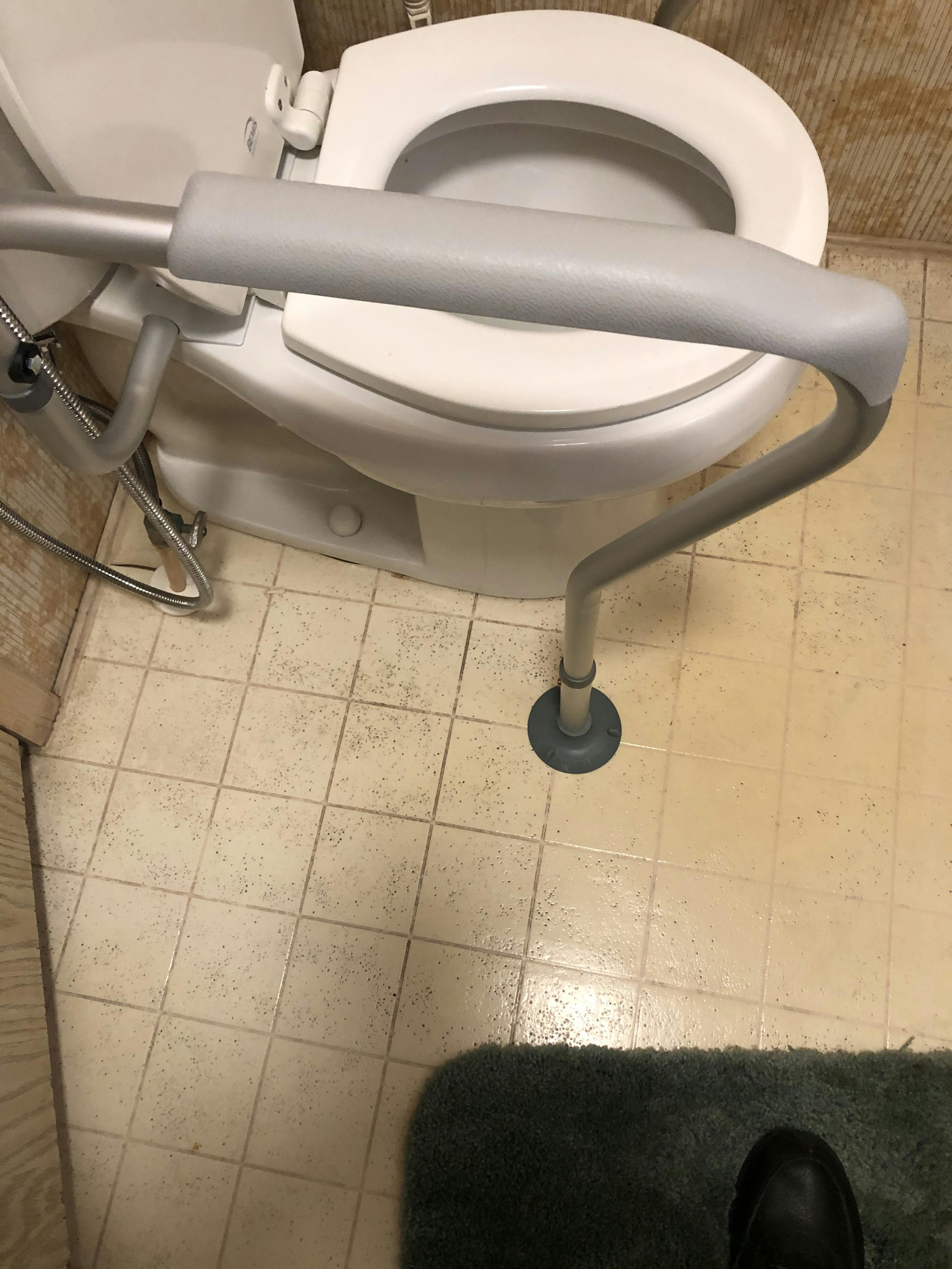 Toilet Safety Frame Handicap Rail with Grab Bars Vive Health