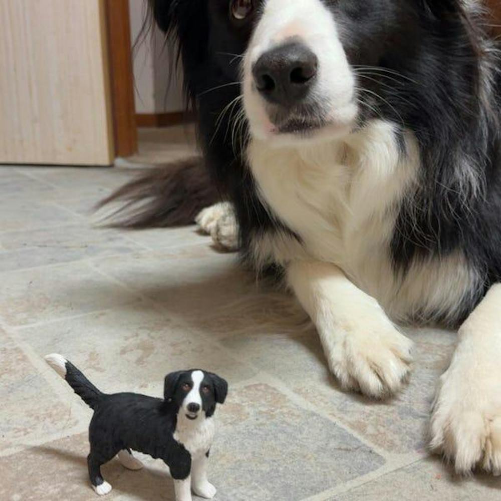 Custom Pet Wedding Cake Topper