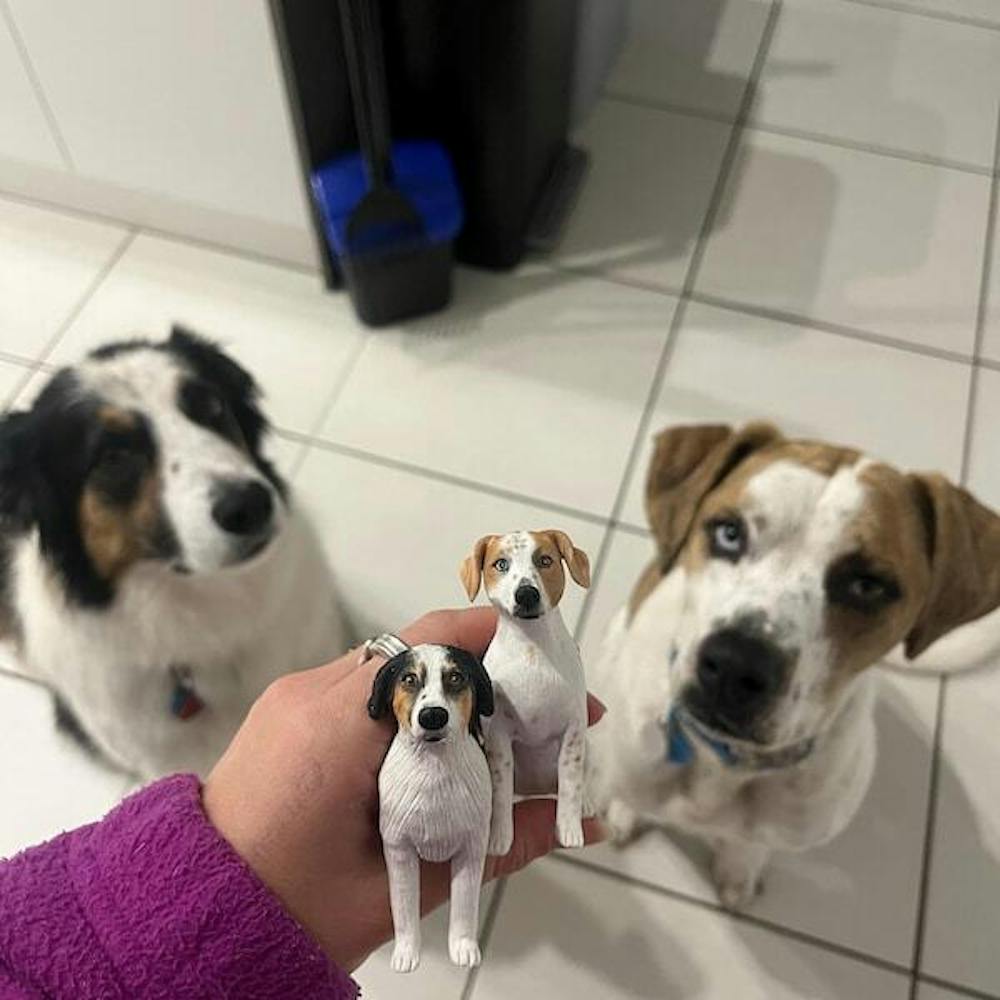 Custom Pet Wedding Cake Topper