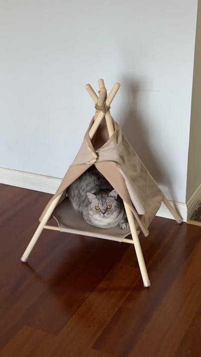 Cat Tent Bed Frame