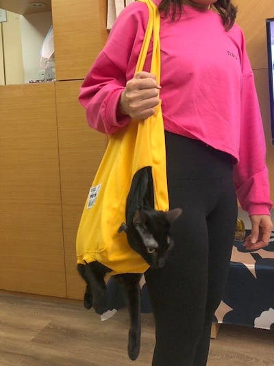 Large Capacity Pet Cat Bag
