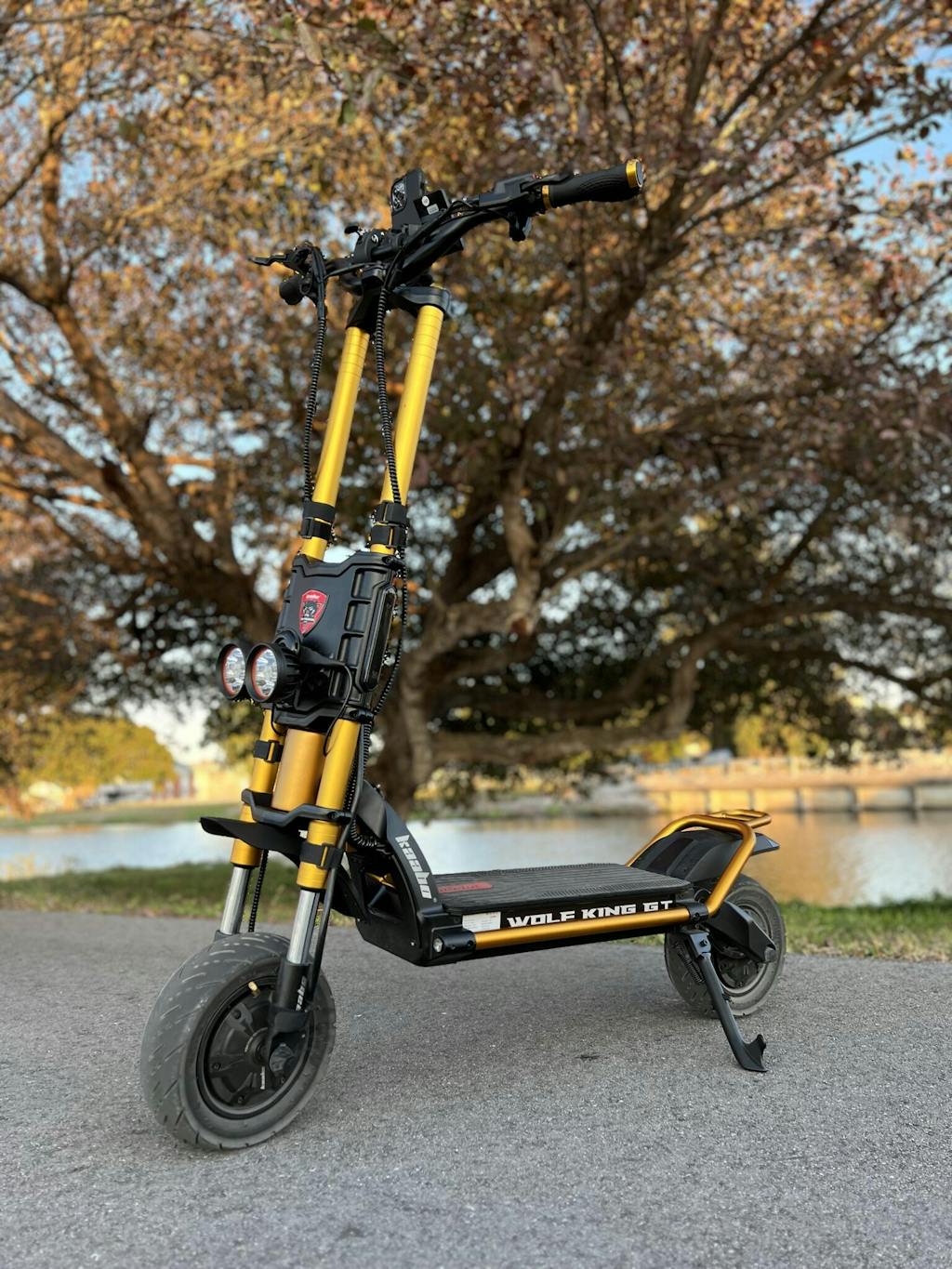 Kaabo Wolf King GT Pro VORO MOTORS