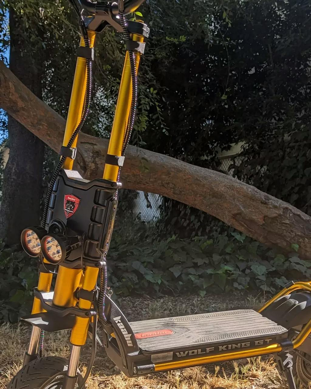 Kaabo Wolf King GT Pro VORO MOTORS