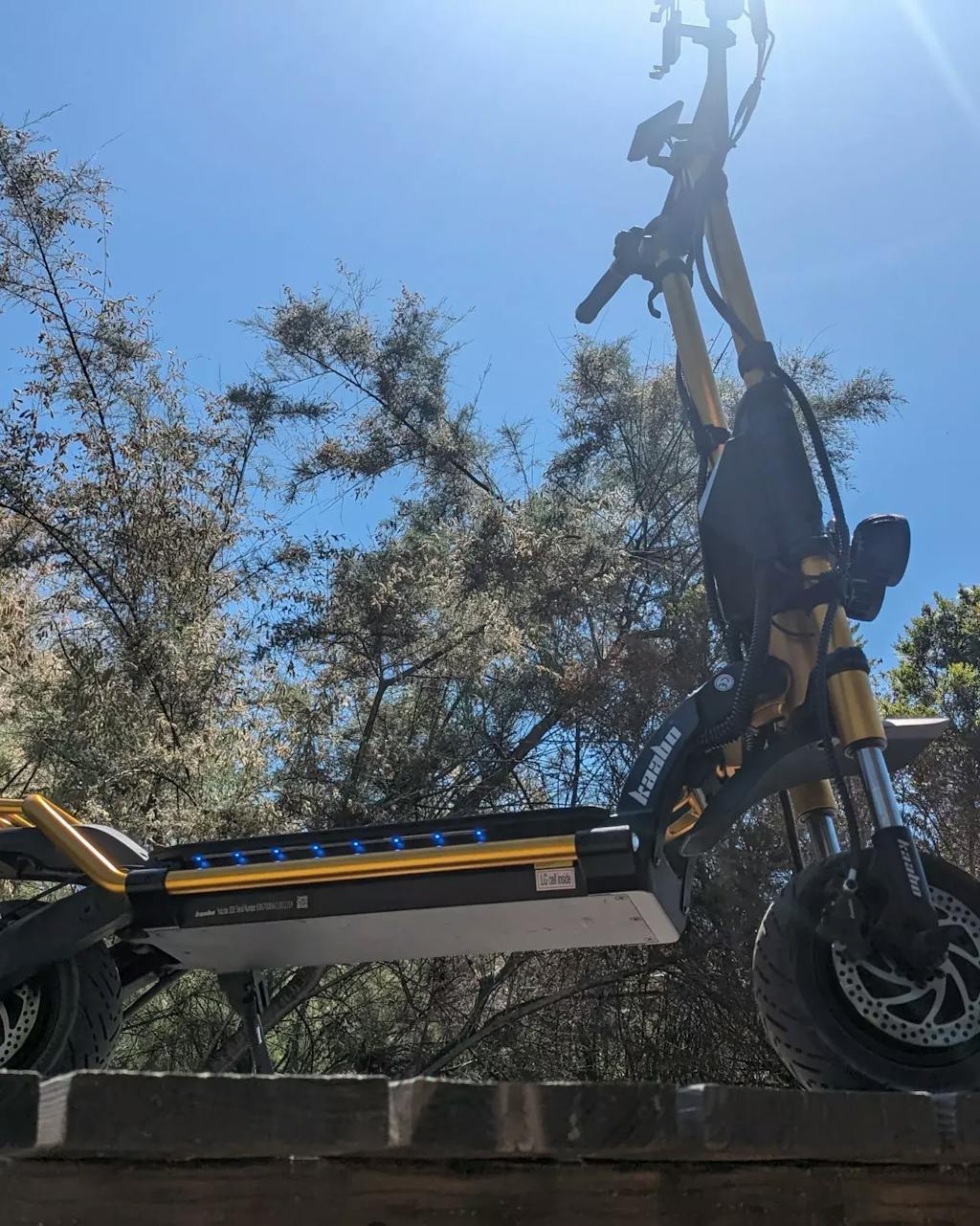 Kaabo Wolf King GT Pro VORO MOTORS