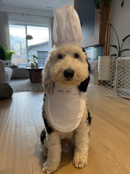 Wag & Whisk
