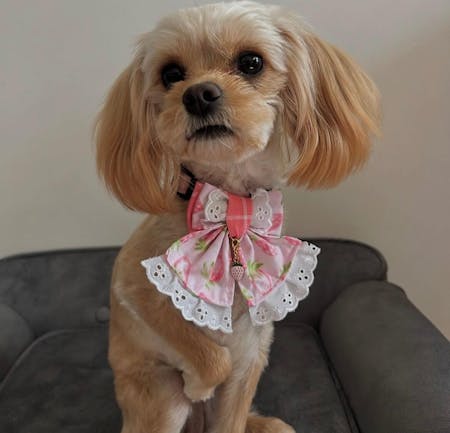 Luxe Mini Bows